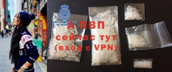 ПСИЛОЦИБИНОВЫЕ ГРИБЫ Пересвет