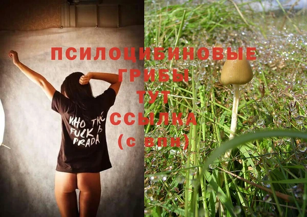 гидропоника Абаза