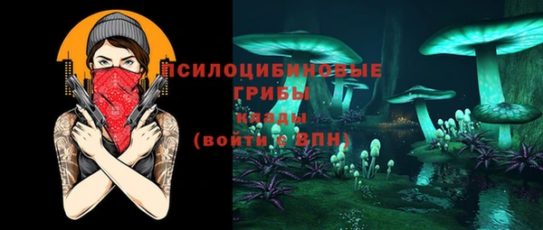 гидропоника Абаза