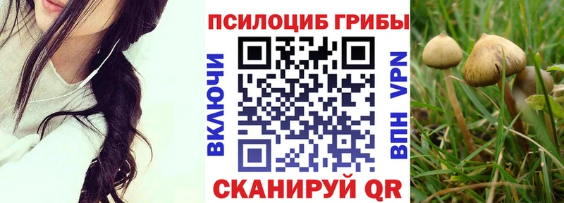 Галлюциногенные грибы ЛСД  Алзамай 